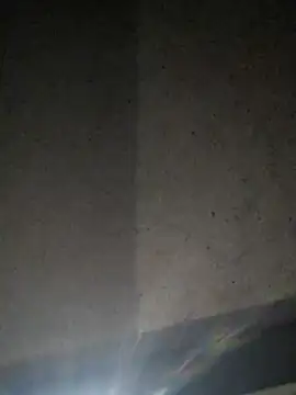 Snapshot of Leocesar37 chatting on July 10, 11:57 am Leocesar37 online show from July 10, 11:57 am