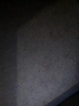 Snapshot of Leocesar37 chatting on July 23, 4:54 am Leocesar37 online show from July 23, 4:54 am