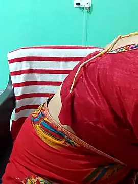 Saroj-Shah online show from April 24, 3:42 am