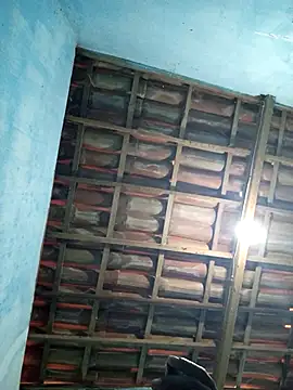 68 Toni online show from September 13, 8:47 am