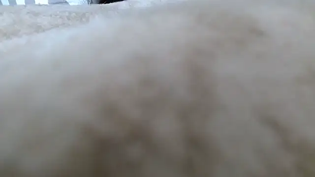 Snapshot of Heracles00 chatting on October 13, 12:49 pm Heracles00 online show from October 13, 12:49 pm