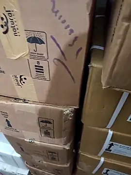 Snapshot of nupa230780 chatting on December 21, 6:31 am nupa230780 online show from December 21, 6:31 am