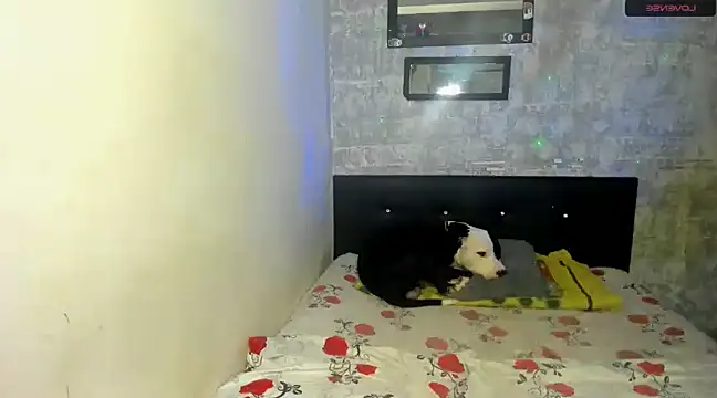 Snapshot of danna_sofiah chatting on February 18, 3:32 pm danna sofiah online show from February 18, 3:32 pm