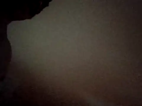 Snapshot of Brickstash chatting on March 23, 5:00 am Brickstash online show from March 23, 5:00 am