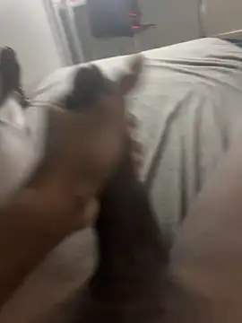 Snapshot of arrete2025 chatting on February 3, 1:08 pm arrete2025 online show from February 3, 1:08 pm