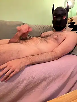 Snapshot of FrenchCamDog chatting on October 11, 11:14 pm FrenchCamDog online show from October 11, 11:14 pm