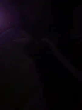 solomec online show from March 6, 10:26 pm