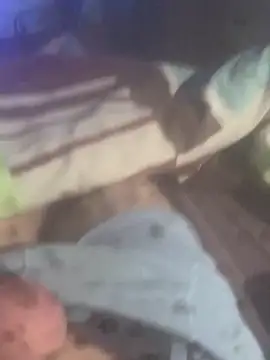 solomec online show from November 19, 6:35 am