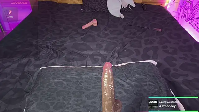kellycakemeow online show from June 17, 5:21 am