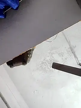 Snapshot of sana14 chatting on December 17, 10:49 pm sana14 online show from December 17, 10:49 pm