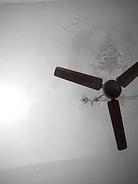 Snapshot of sana14 chatting on December 19, 7:04 am sana14 online show from December 19, 7:04 am