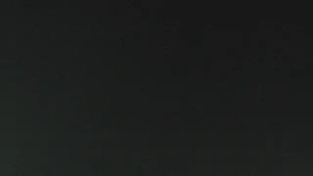 salome daniel online show from June 15, 4:09 pm
