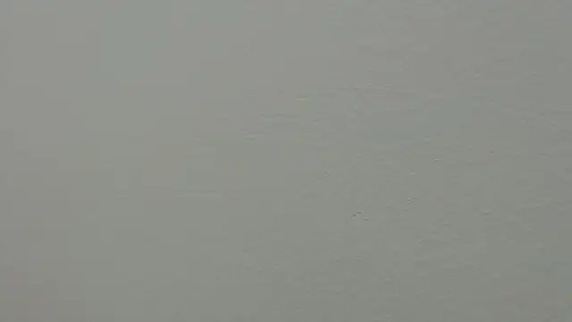 julz 03 online show from March 1, 4:22 pm