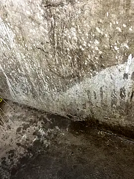 tamil000000 online show from January 12, 1:05 pm