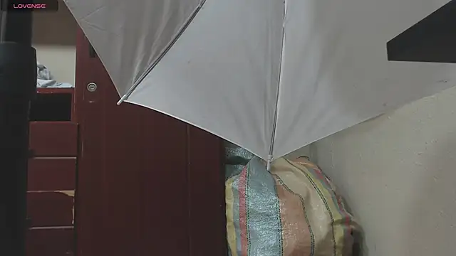 Snapshot of DIANATSS chatting on February 8, 11:45 pm DIANATSS online show from February 8, 11:45 pm