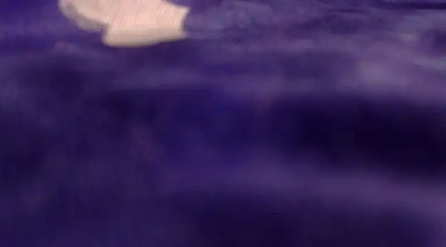 Snapshot of Cute_Alaina chatting on February 7, 1:47 am Cute Alaina online show from February 7, 1:47 am