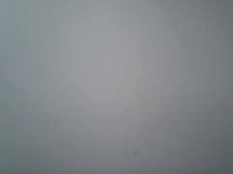 lovedoggy03 online show from January 12, 1:05 pm