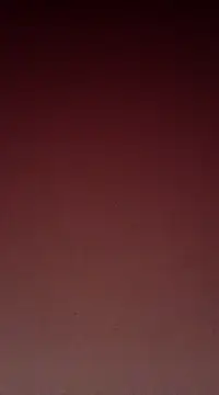 Sexy-Mona2 online show from December 13, 12:06 pm