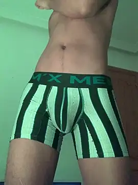 Snapshot of Ryan-hot chatting on February 7, 10:52 pm Ryan-hot online show from February 7, 10:52 pm