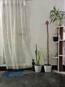 mikemacluffy online show from September 25, 4:00 pm