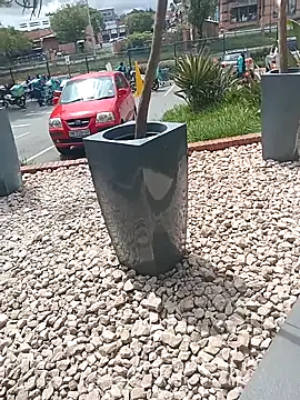 Snapshot of Lexwelll chatting on March 16, 11:05 am Lexwelll online show from March 16, 11:05 am