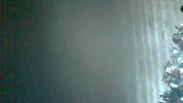 HardWolf2024 online show from December 24, 12:11 am