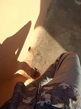 Snapshot of PracticalGum40 chatting on January 11, 3:33 am PracticalGum40 online show from January 11, 3:33 am