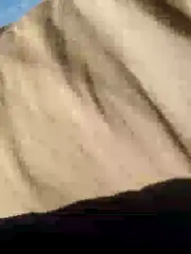 CptDickX258 online show from January 12, 5:22 pm