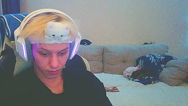 Ostin meow online show from December 14, 12:44 pm