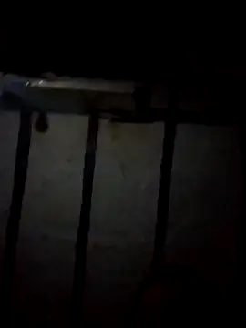 Love-Veronica online show from February 11, 2:00 pm