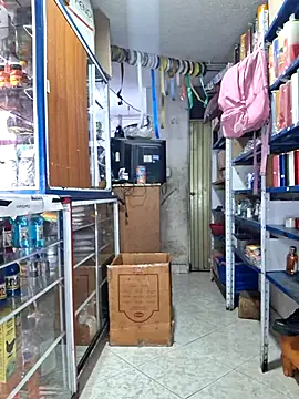 nidia2026 online show from February 14, 1:08 pm