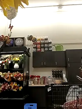 Snapshot of kobrashekyng chatting on October 20, 2:39 pm kobrashekyng online show from October 20, 2:39 pm