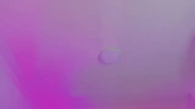 Snapshot of AlliJadid chatting on November 19, 11:21 am AlliJadid online show from November 19, 11:21 am