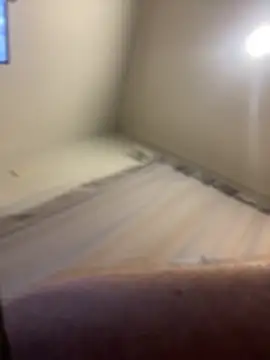 Snapshot of FrankJake99 chatting on November 5, 11:49 pm FrankJake99 online show from November 5, 11:49 pm