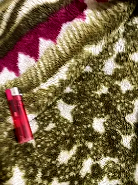 Snapshot of United3 chatting on November 19, 7:52 am United3 online show from November 19, 7:52 am