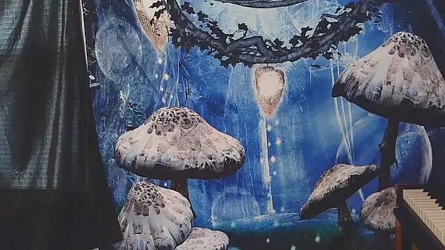  hellostormy  online show from February 16, 7:21 pm