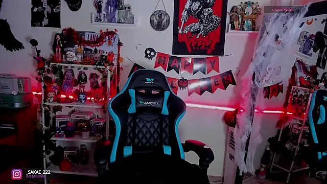 Snapshot of _sakae_ chatting on October 27, 2:10 pm  sakae  online show from October 27, 2:10 pm