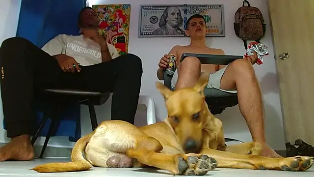 boss of cash online show from July 14, 6:24 pm