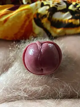 Snapshot of makedaddyhappy6 chatting on February 20, 12:57 pm makedaddyhappy6 online show from February 20, 12:57 pm