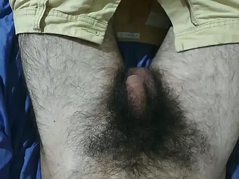 Snapshot of bomvemcam chatting on November 28, 7:11 am bomvemcam online show from November 28, 7:11 am