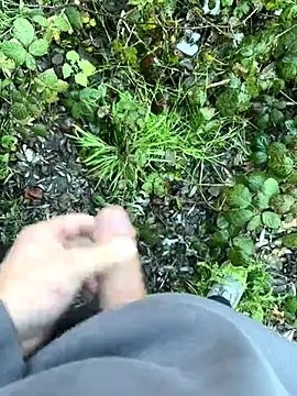 BobMeinster online show from November 21, 1:32 pm