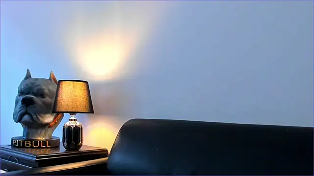 Snapshot of BradLeon_ chatting on October 8, 5:54 pm BradLeon  online show from October 8, 5:54 pm