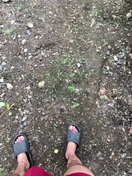 seven7xis online show from January 1, 9:09 pm