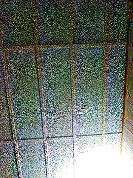 zaneporter46 online show from March 1, 5:20 am