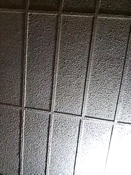 zaneporter46 online show from March 14, 5:59 am