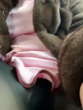 AndreaMood online show from February 1, 6:43 am