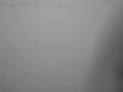 GoddessGlide online show from March 16, 11:16 am