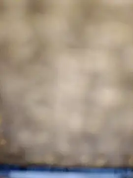 Snapshot of 618fuckupp chatting on October 27, 11:25 am 618fuckupp online show from October 27, 11:25 am