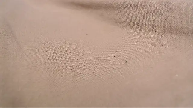 Lona-s online show from April 8, 11:21 am