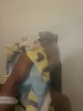 Snapshot of Looking4Jerries chatting on December 31, 6:48 am Looking4Jerries online show from December 31, 6:48 am